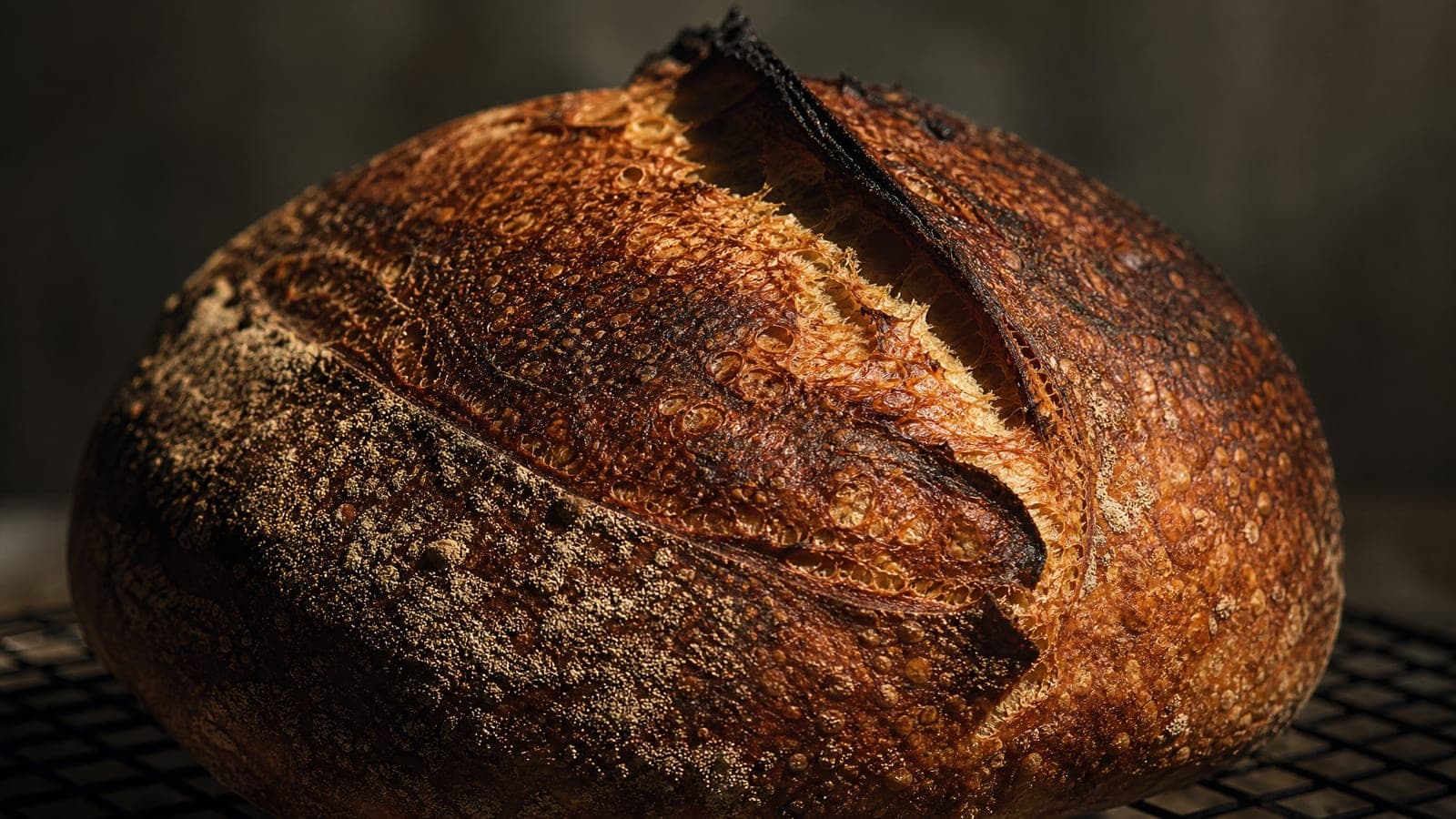 A single sourdough boule on a cooling rack, its blistered crust burnished dark and split open along one deep score